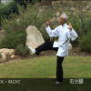 Tai Chi Stillness Through Motion DVD video