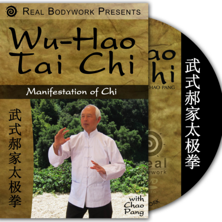 Wu Hao Tai Chi DVD video