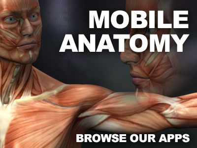 anatomy apps