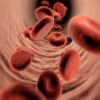 screenshot of red blood cells