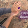 Finger flexor strength test