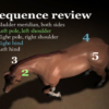 Horse Massage Sequence review