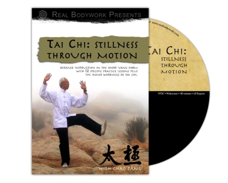Tai Chi Stillness Through Motion DVD video