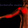 Pectoralis minor referral pattern