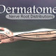 dermatomes in the arm