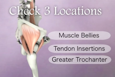 3 muscle locations to assess