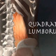Quadratus lumborum muscle