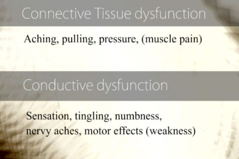 Connective tissue dysfunction leads to conductive dysfunction.